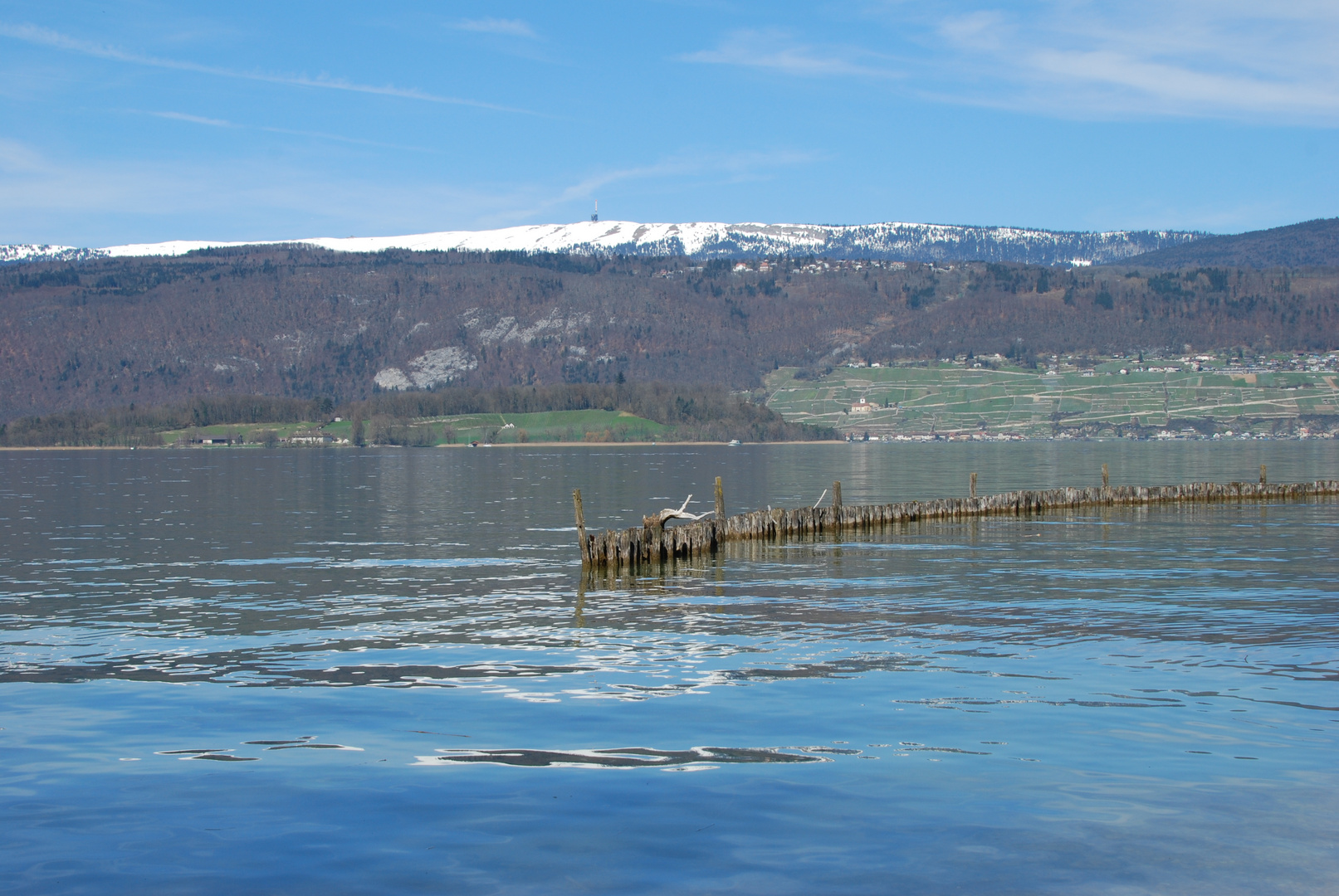 Bielersee(Schweiz) in Frühlingsstimmung