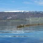 Bielersee(Schweiz) in Frühlingsstimmung