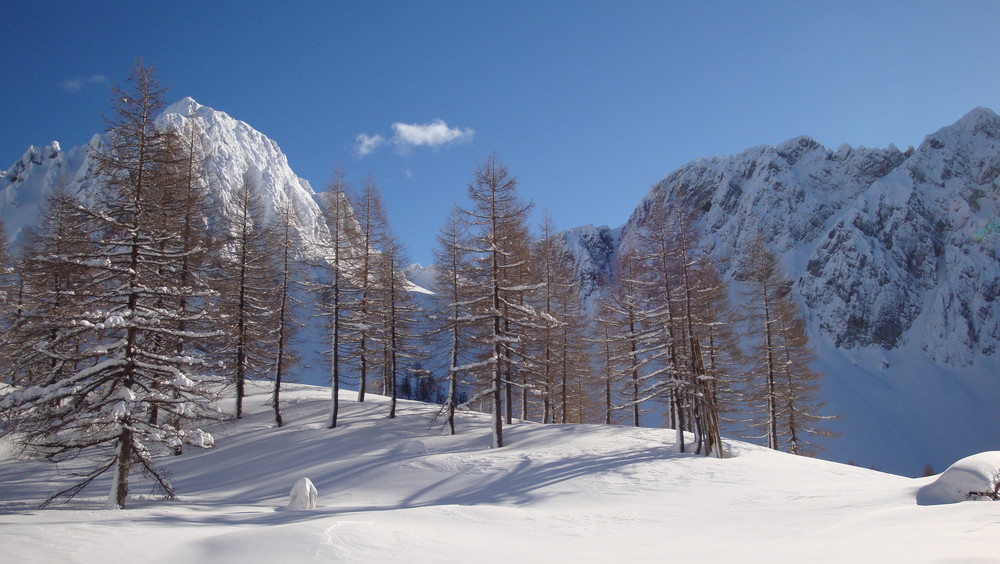 Bielschitza near Klagenfurtertütte (Bärental) Carinthia Austria