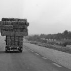 Bien chargé….sur la route en Tunisie