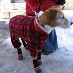 Bien équipé pour l'hiver