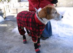 Bien équipé pour l'hiver