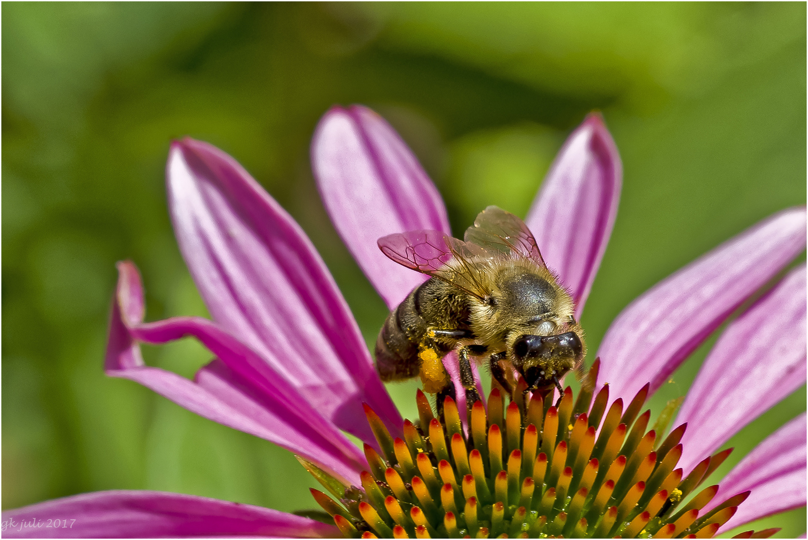 Bienchen