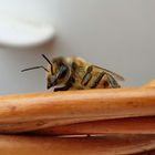 Bienchen