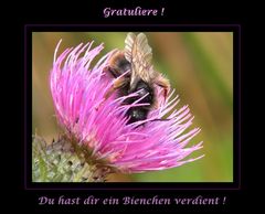 BIENCHEN