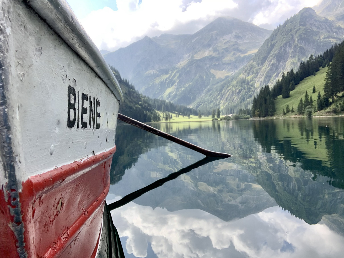 Biene auf dem Vilsalpsee