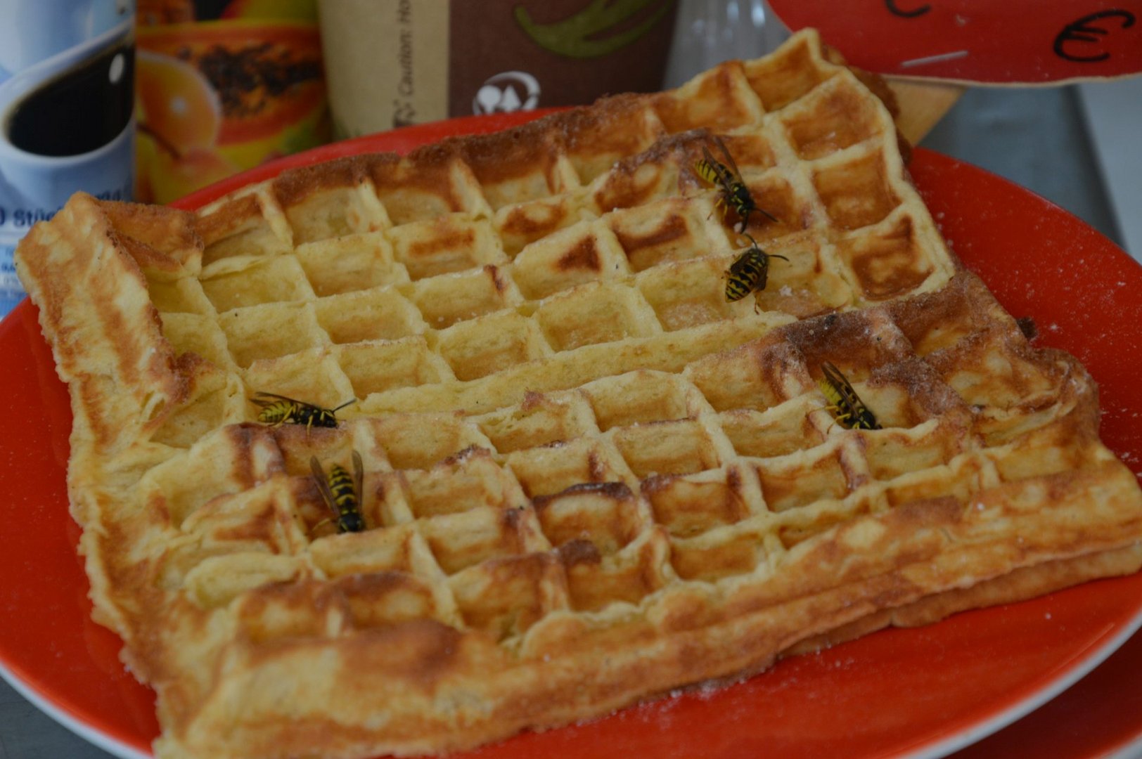 Bienen auf Waffel