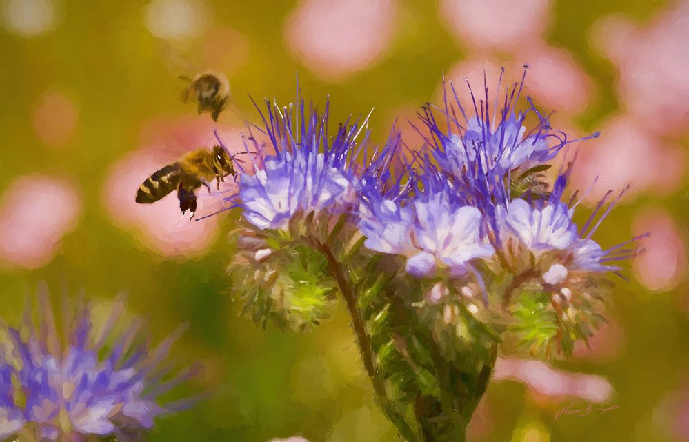 Bienen im Anflug als Gemälde