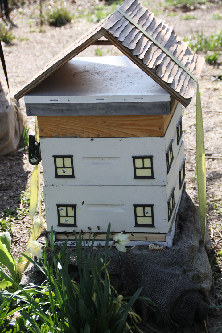 Bienen im Battery Park