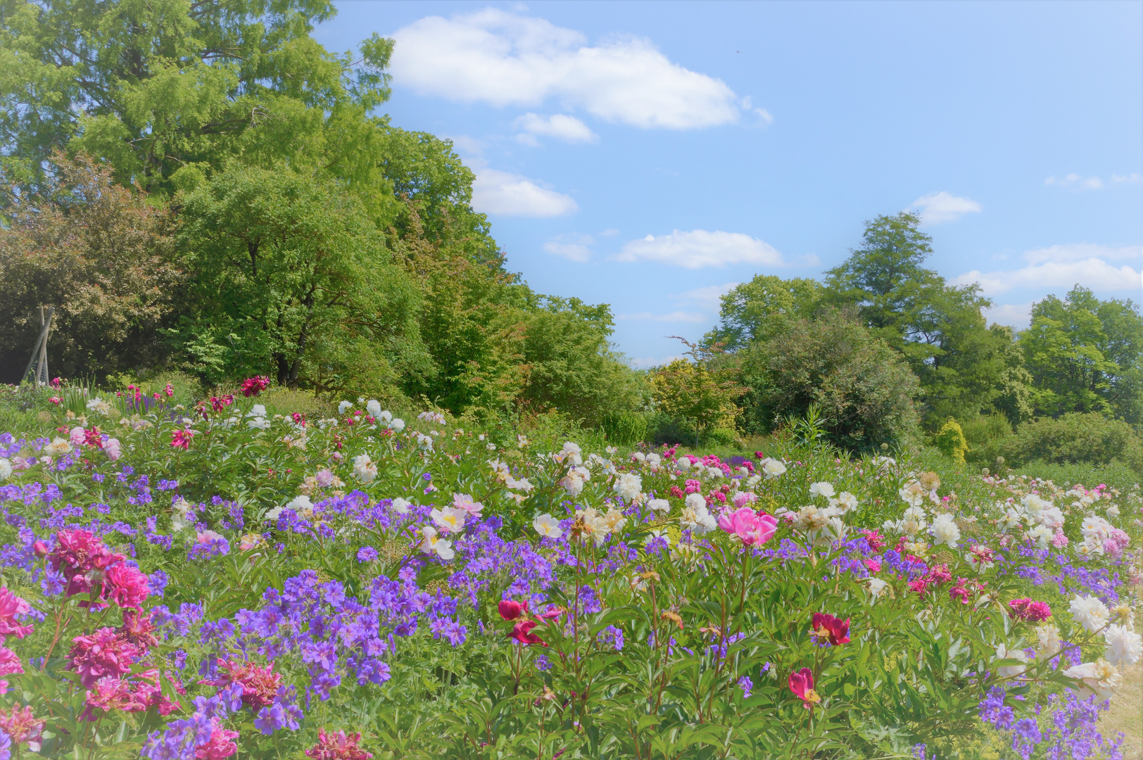 Bienen lieben es