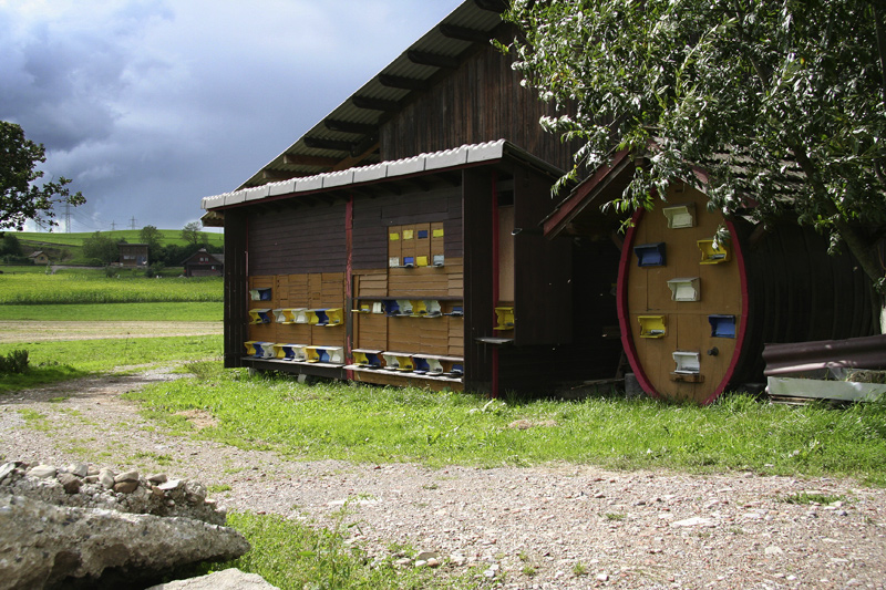 Bienenhäuser bei Bauernhof in Neudorf (LU)
