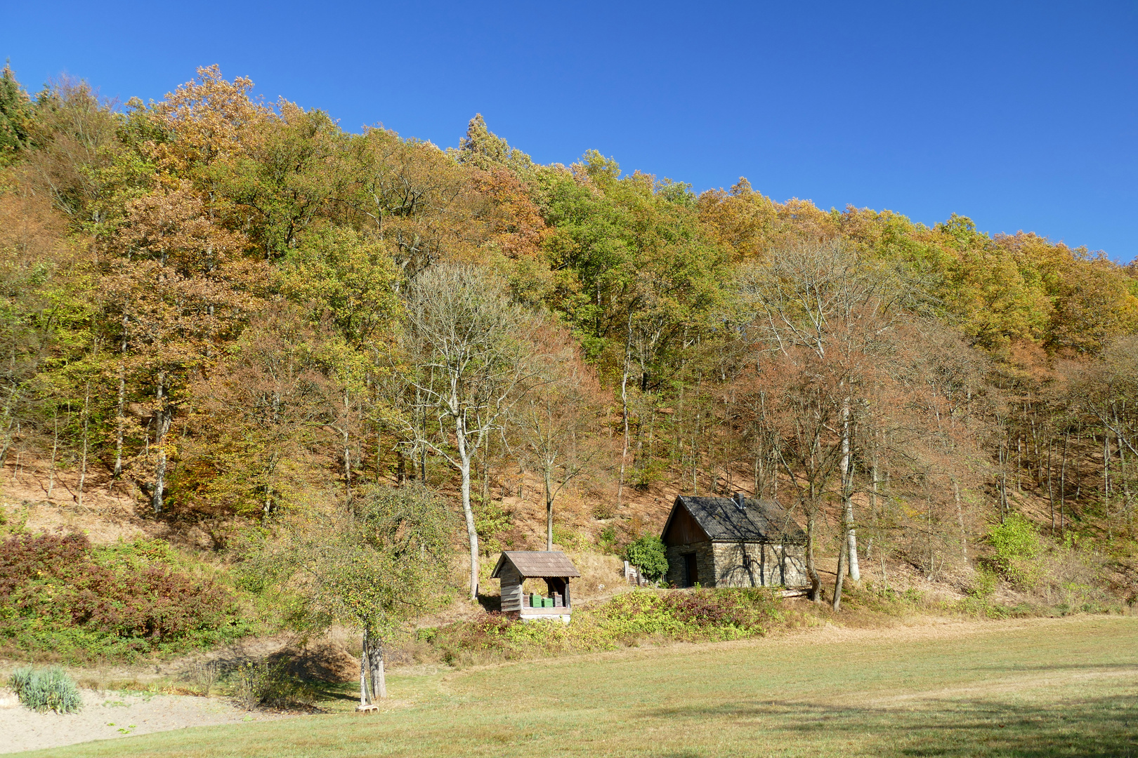 °°°° Bienenhaus im Herbstwald °°°°