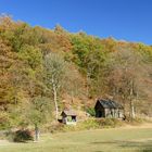 °°°° Bienenhaus im Herbstwald °°°°