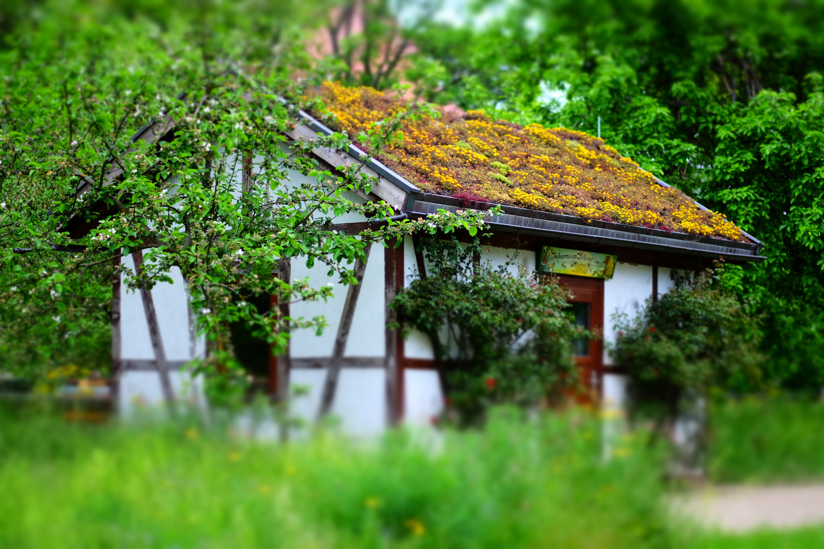 Bienenhaus im Schlosspark