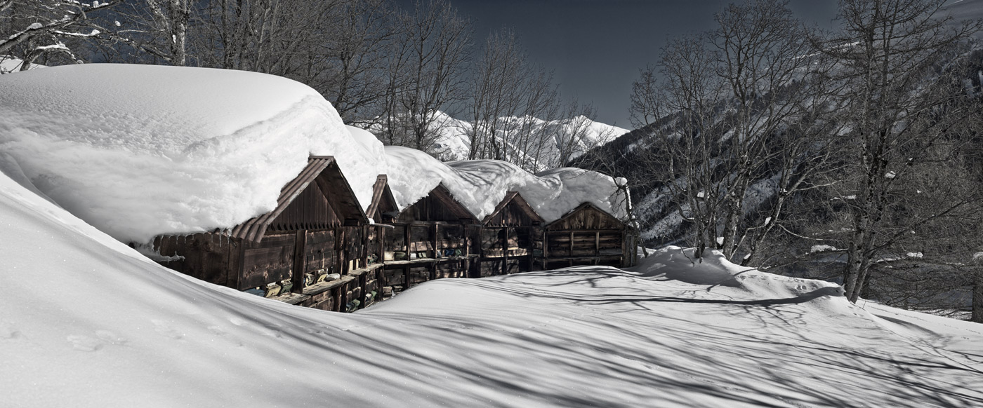 Bienenhaus in Winterstimmung