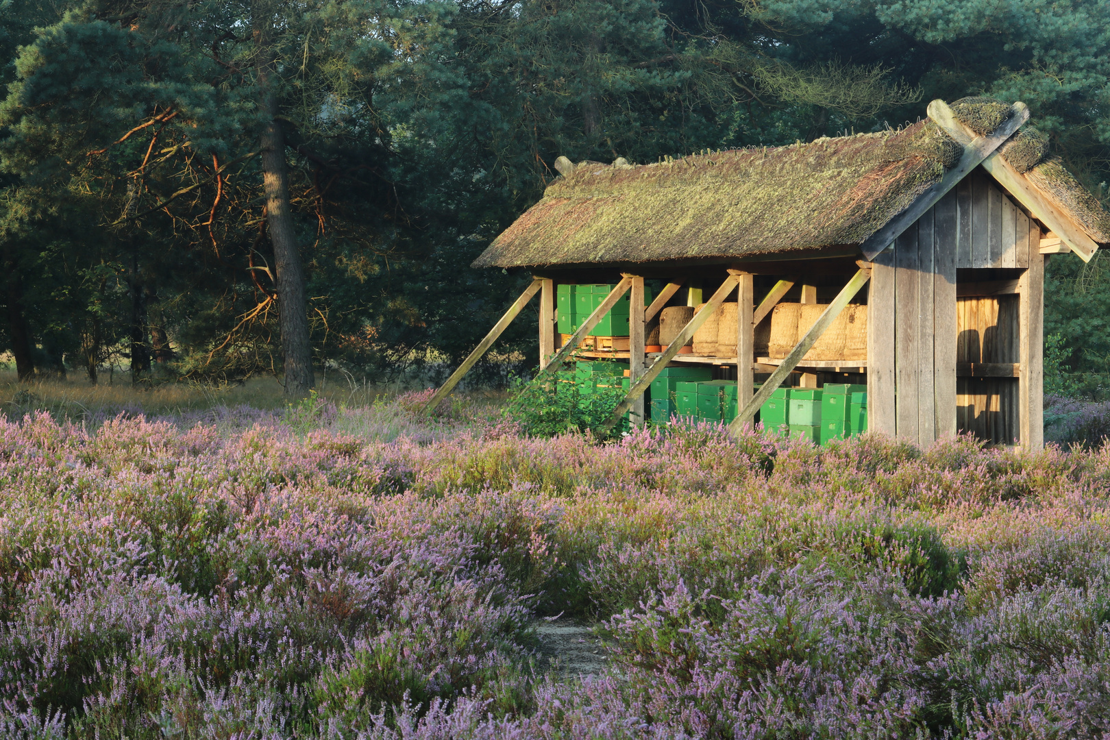 Bienenhaus Lüneburger Heide