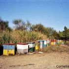 Bienenkästen Chalkidiki