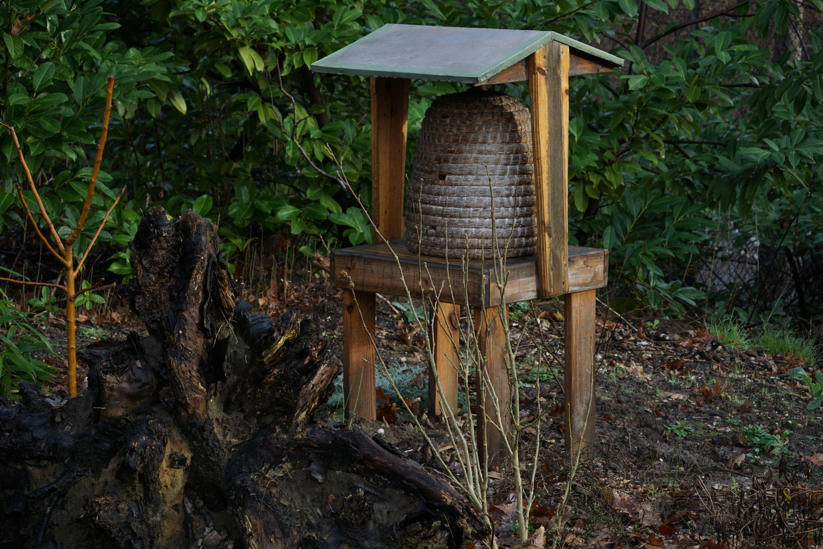 Bienenkorb Foto Bild Natur Tiere Honig Bilder Auf Fotocommunity