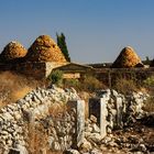 Bienenkorbhäuser bei Toter Stadt im nordsyrischen Kalksteinmassiv