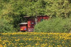 Bienenstand im Frühling