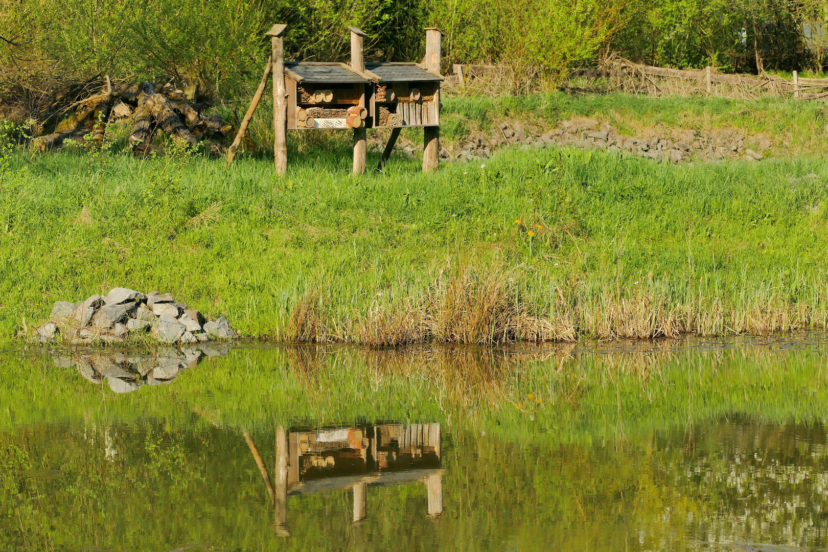 Bienenstock im Spiegel