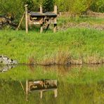 Bienenstock im Spiegel