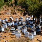 Bienenstöcke an der Westküste auf Kefalonia