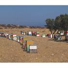 Bienenstöcke (Kreta)