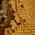 Bienenwabe mit Bokeh!