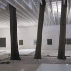 Biennale Arte 2011