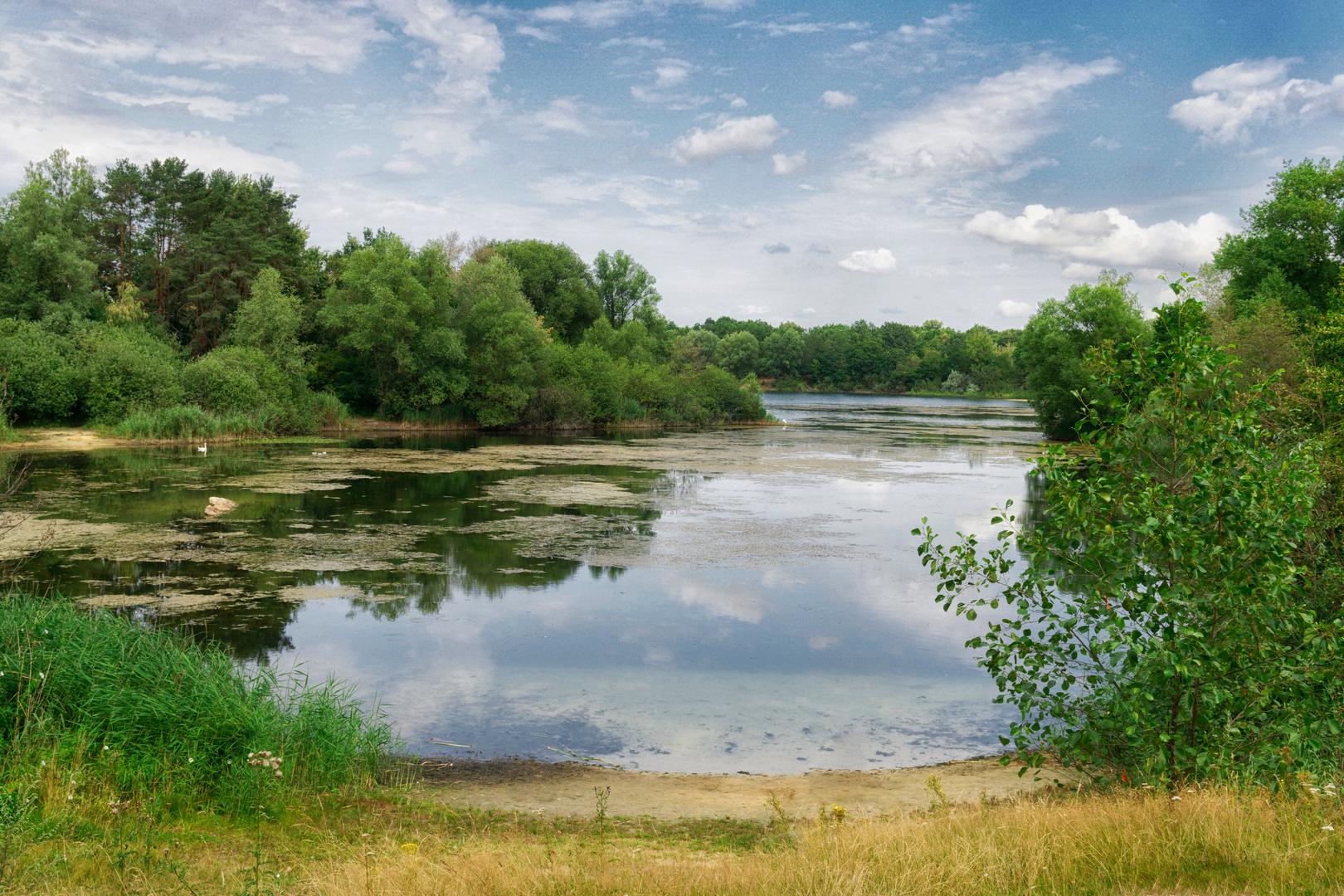 Bienroder See