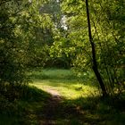 Bienroder Teich im nördlichen Teil von Braunschweig (3)