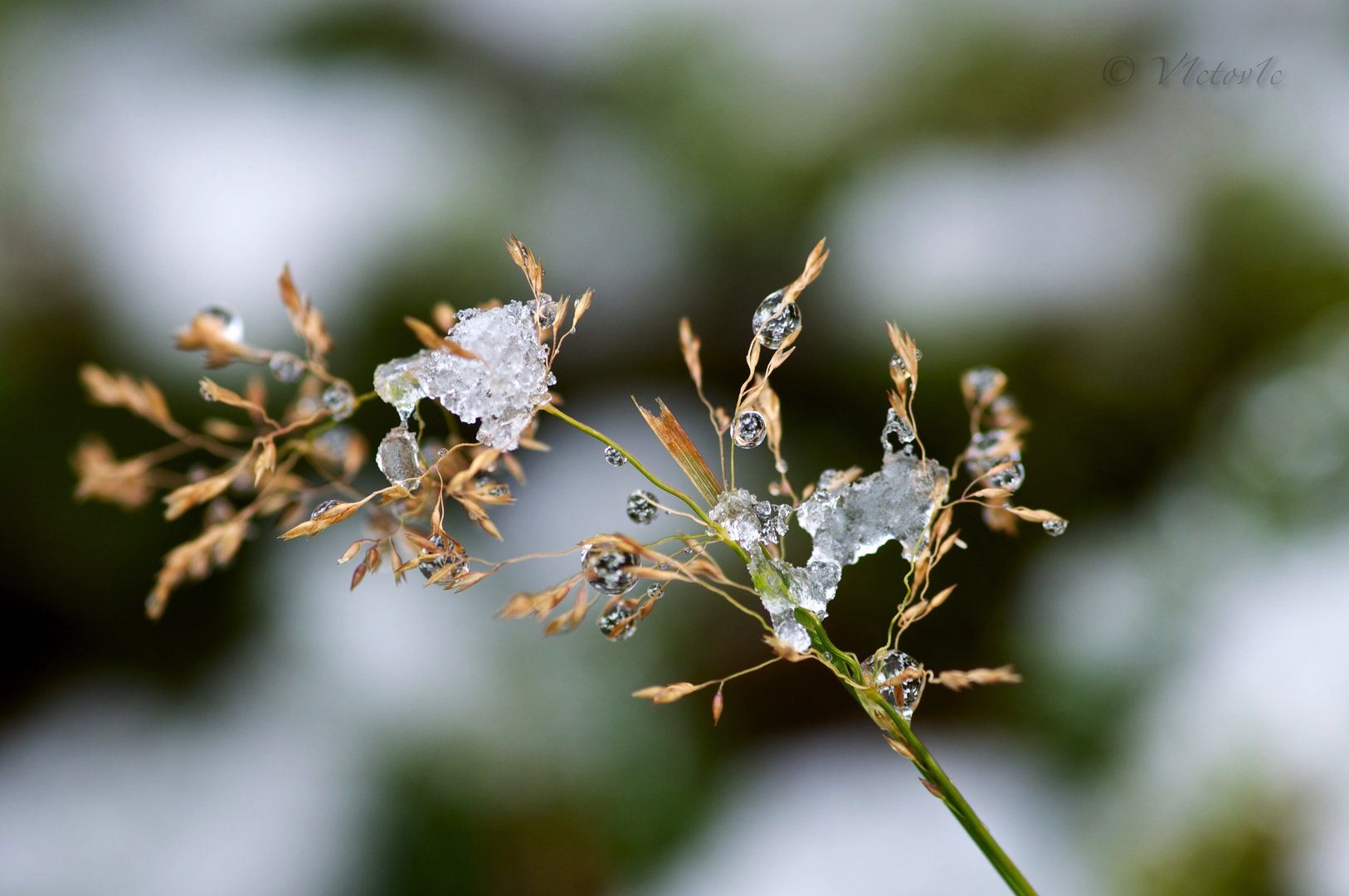 bientot l' hiver ...