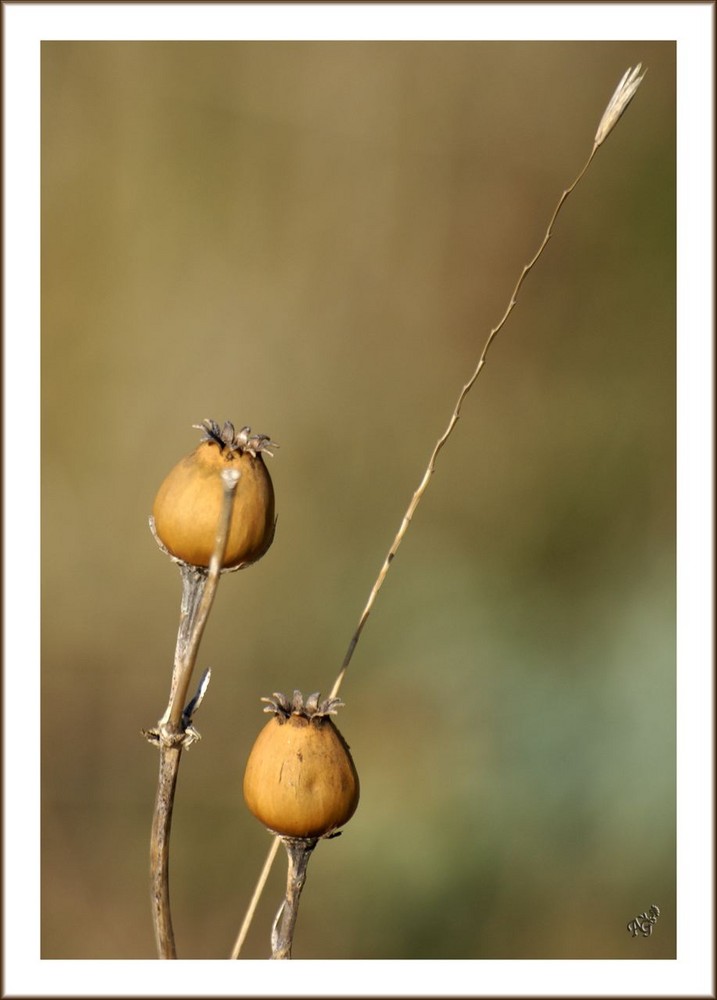 Bientot.... la fin de l'automne