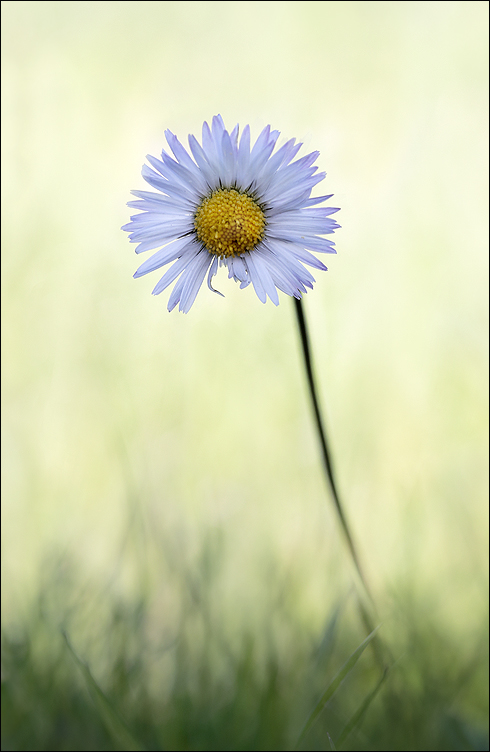 Bientôt le Printemps 