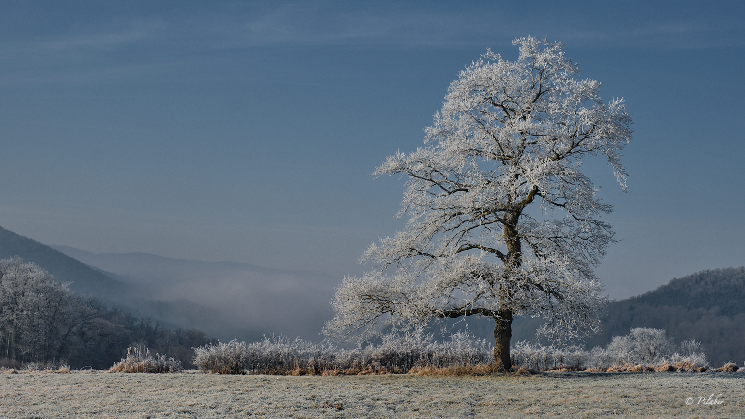 Bientôt l'hiver