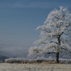 Bientôt l'hiver