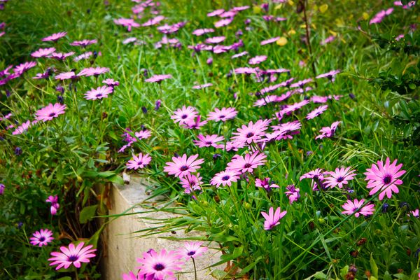 bienvenida (parte 2)