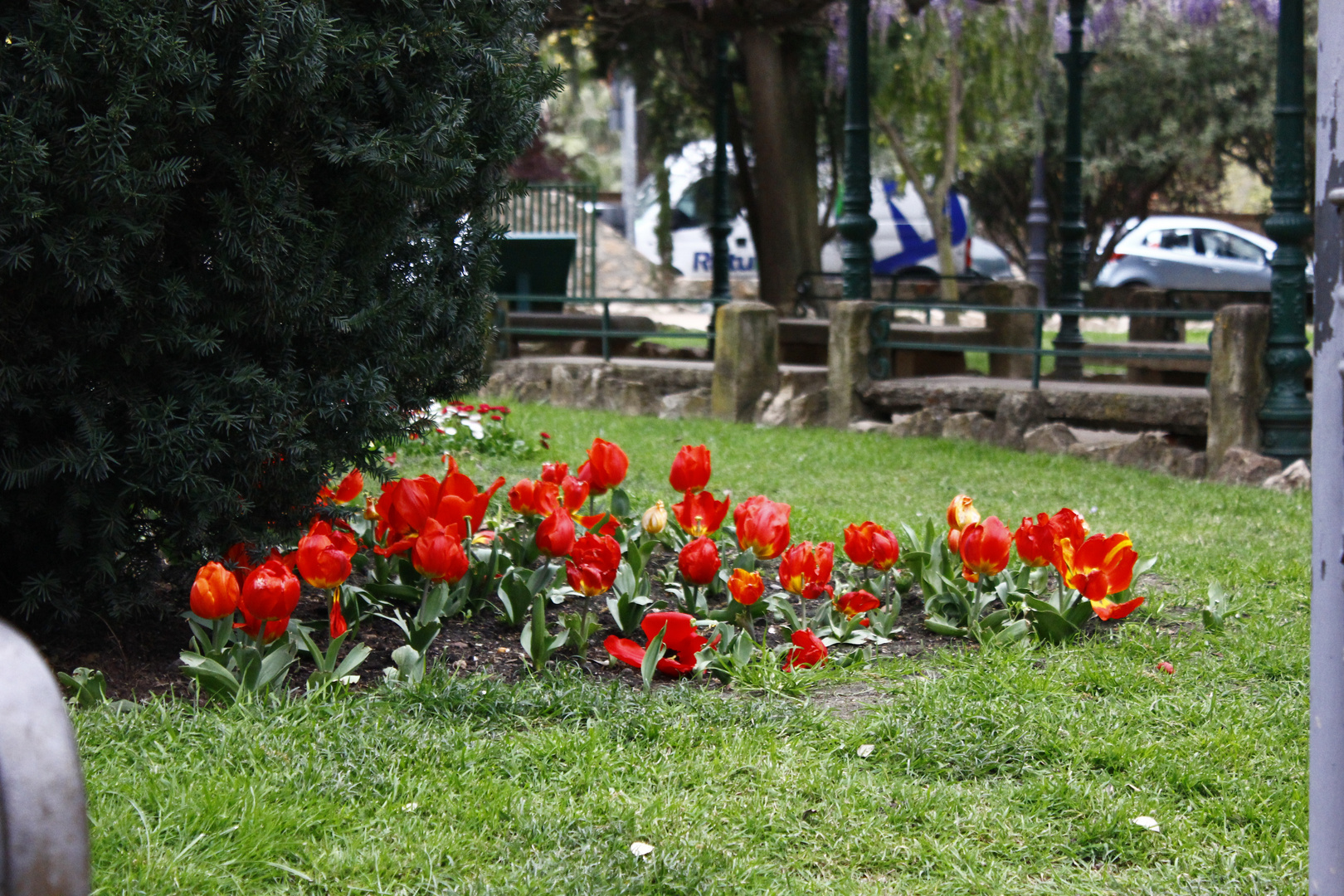 bienvenida primavera