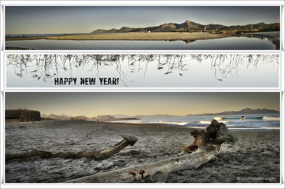 BIENVENIDO 2012!