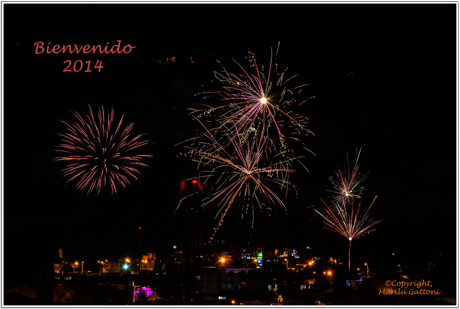 BIENVENIDO 2014