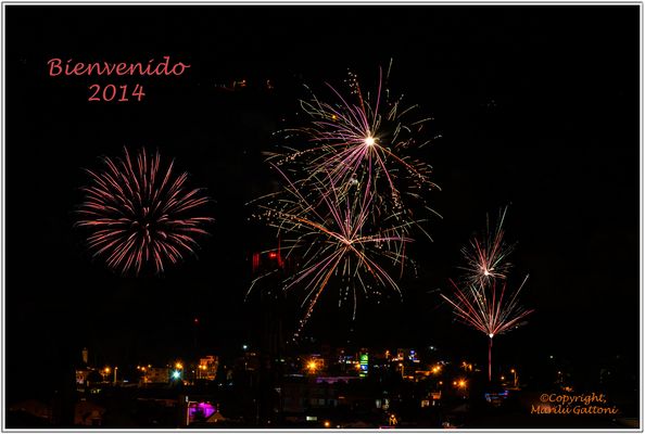 BIENVENIDO 2014
