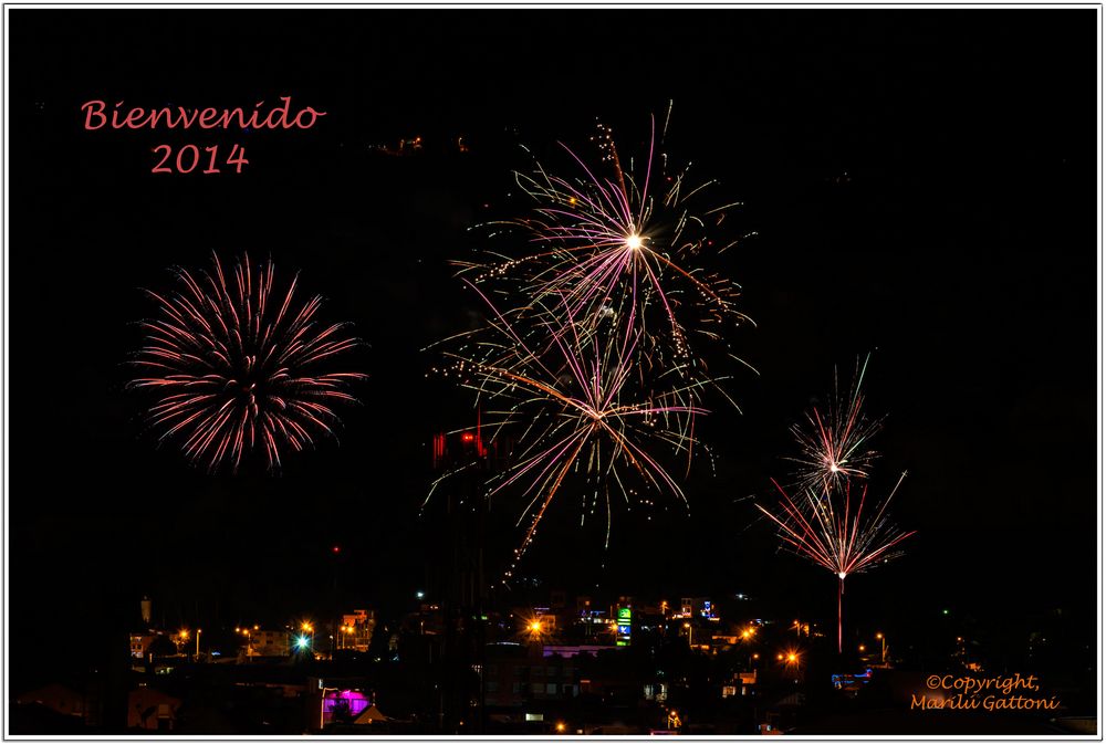 BIENVENIDO 2014