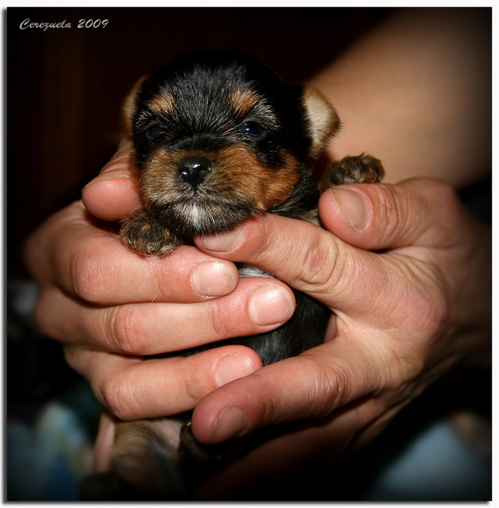 Bienvenido a la Vida