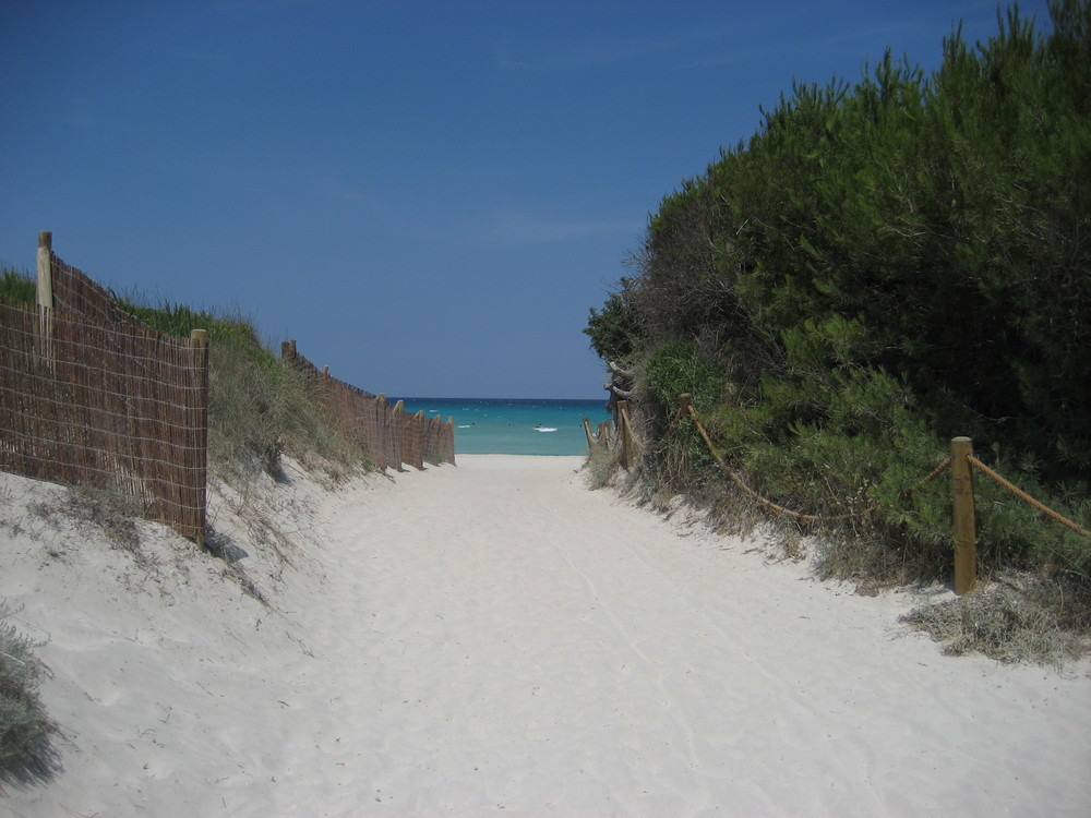 Bienvenidos a Playa de Muro