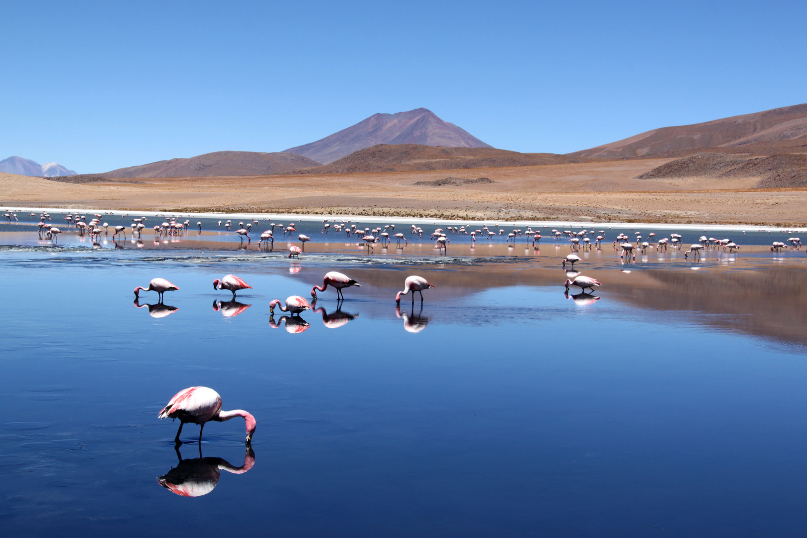 Bienvenidos en Bolivia