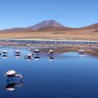 Bienvenidos en Bolivia