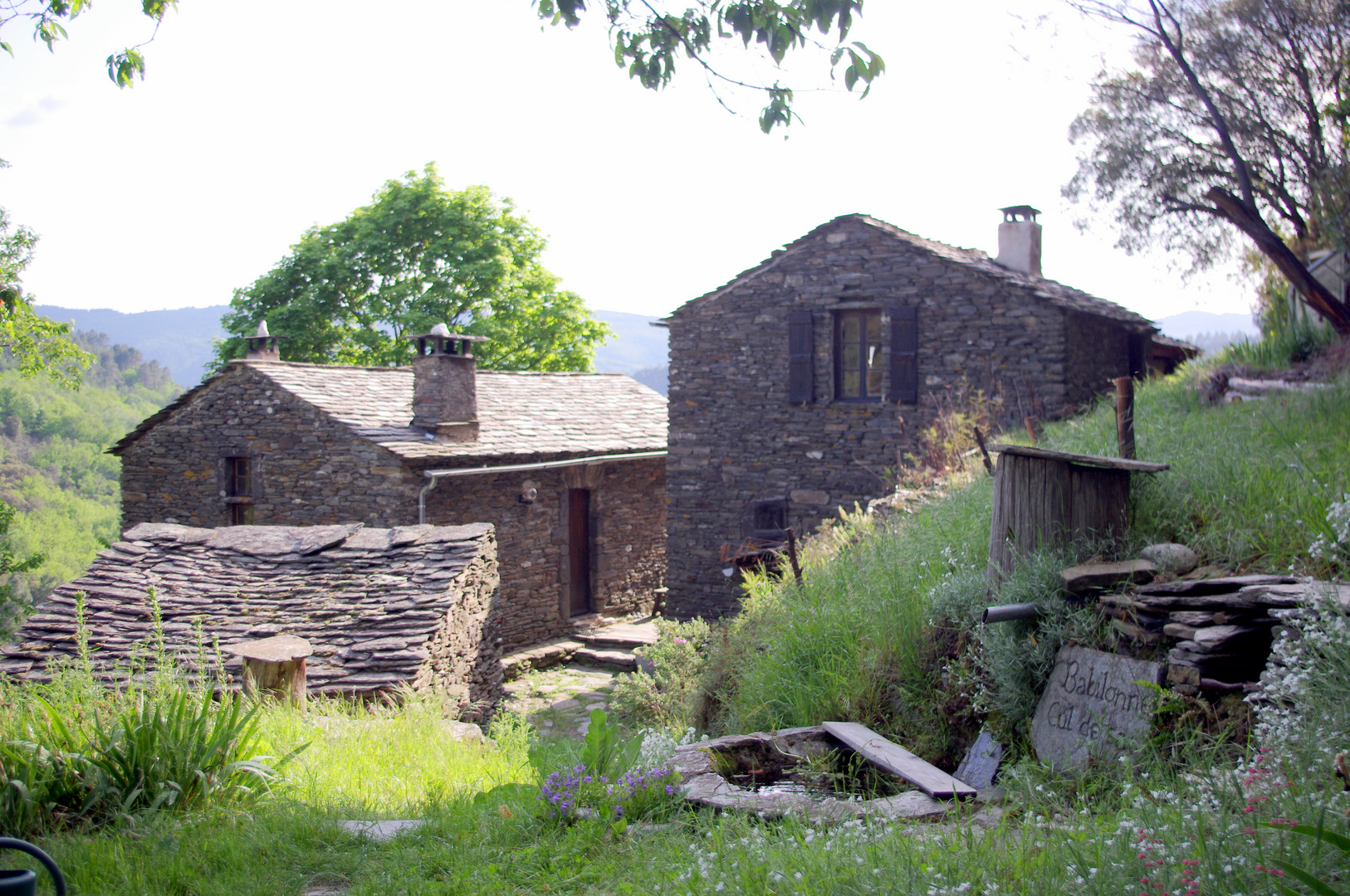 Bienvenue à Babilone, en Cévennes !!!