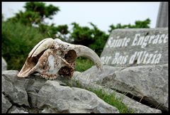 Bienvenue au Pays-Basque