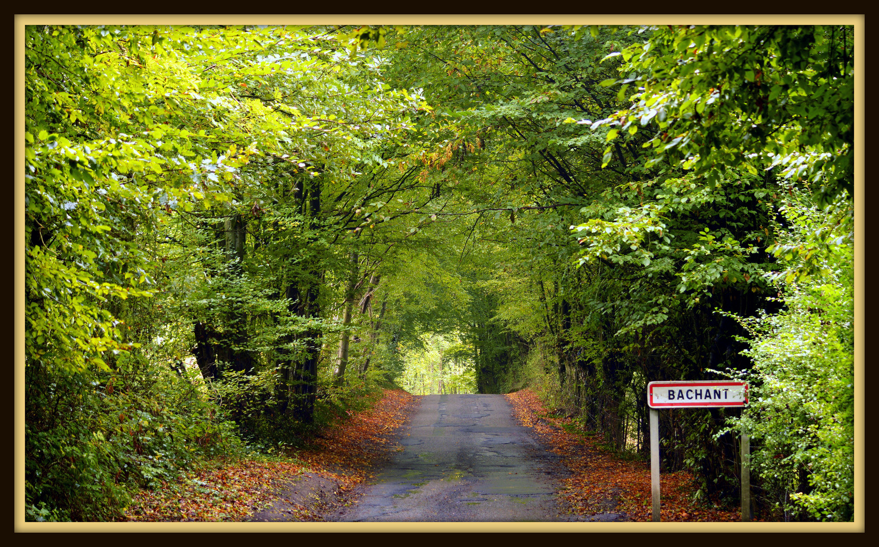 bienvenue au village